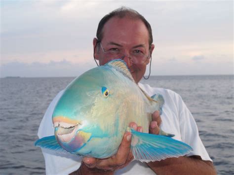 Fishing in Madagascar.